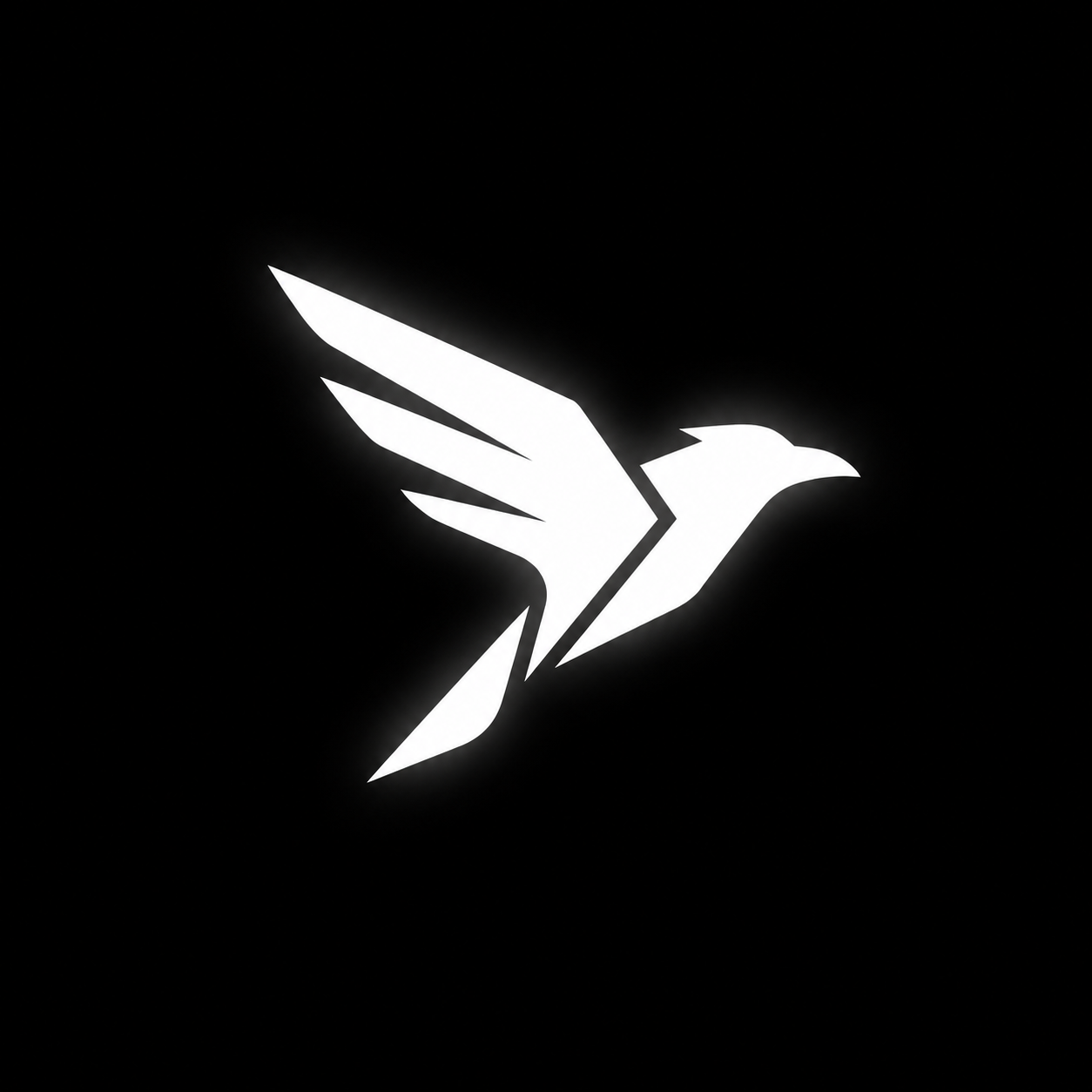 Raven Network